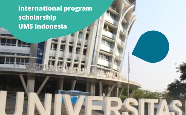 Image non disponible