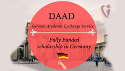 Image non disponible