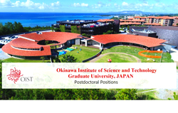 Image non disponible